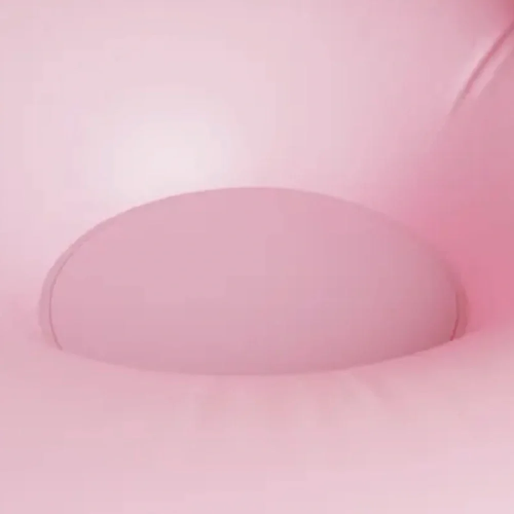 NWT Inflatable flamingo dog pool toy Splash Dash